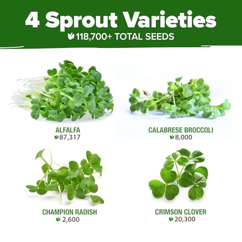 HOME GROWN Premium Sprouting Seeds Mix - Microgreens 118,200 Seeds for Indoor Growing - Non-GMO Broccoli, Alfalfa, Radish, Clover Sprouts Seed - 16oz Resealable Pack for Healthy Salad & Juicing