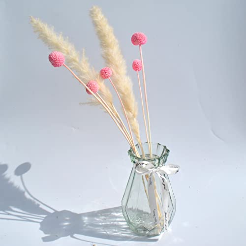 Caiyun Manor 20 Pcs Billy Ball Flower Craspedia Globosa Benth Australian Drum Stick Chrysanthemum Eternal Life Flower For Home Wedding Party Themed Decorations （Pink） #TOP2