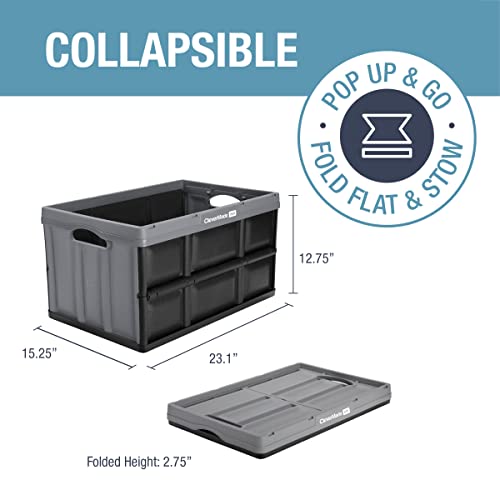 CleverMade Collapsible Storage Bins 62L (3-Pack) – Heavy Duty Collapsible Plastic Storage Bins, Large Stackable Folding Storage Bins for Garage, Car, Grocery & Home Organization - Stone by CleverMade - Image 2
