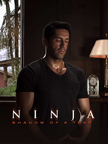 Ninja: Shadow Of A Tear #TOP16