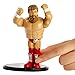 WWE Daniel Bryan Retro App Action Figure