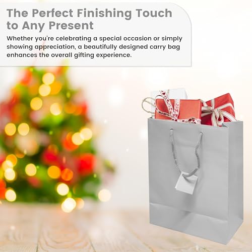 Novel Box Silver Gift Bags with Handles 10 Pack 8x4x10 Inches Large Paper Bulk Gift Bags for Business, Shopping, Birthday, Party Favor - Euro Tote Paper Bag for Groceries & Personal Use - Thumbnail 6