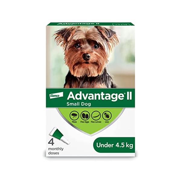 Advantage II Flea Protection for Small Dogs weighing less than 4.5 kg (less than 10 lbs.) Advantage II Flea Protection for Small Dogs weighing less than 4.5 kg (less than 10 lbs.)