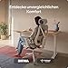 Desktronic Verstellbarer ergonomischer Bürostuhl | Schreibtischstuhl mit Lendenwirbelstütze - rückenfreundlich- Computerstuhl höhenverstellbar...