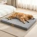 Jolibean Orthopädisches Hundebett Mittelgroße Hunde, 91x61cm,Grau