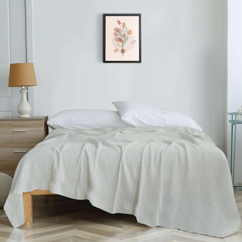 Image of Super Soft & Breathable 100% Microfiber Waffle Blanket - Throw Blanket and Quilt for Bed & Sofa Single(60x90) Size - Pearl Grey /Soft Grey