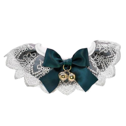 MOTHNUR ybgpyʉ\[Xݎ L^ptlbJ`[t ANZT[ 蕨 _J _J[