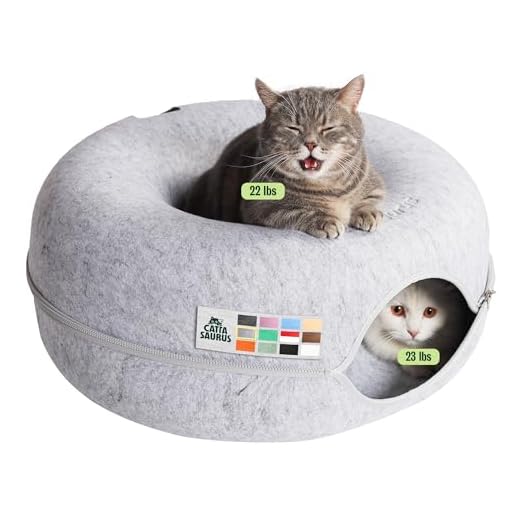 CATTASAURUS Peekaboo Cat Cave