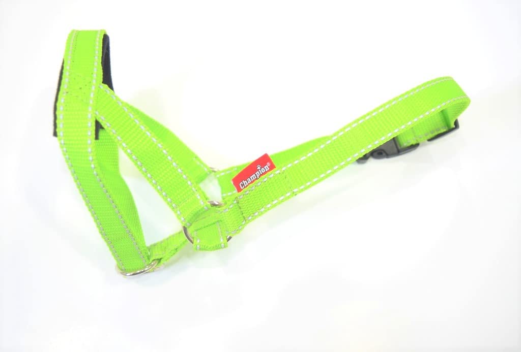 Collari Da Addestramento - ACCESSORI CANE - Red Rock - Foto 10