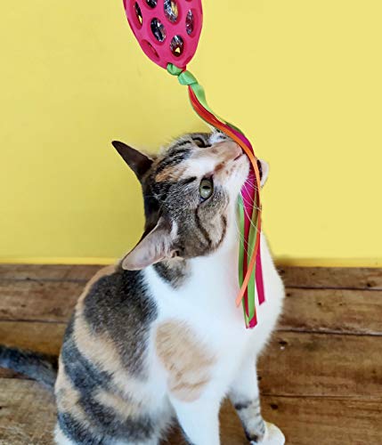 JW Brinquedo Para Gatos Football With Streamer Para Gatos Vermelho