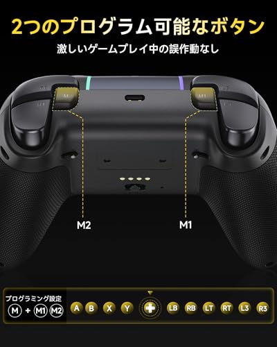undefined EasySMX X05PRO PC コントローラー 無線/有線接続 2.4Gレシバー付き 軽音ボタン RGBライト 1000Hz ポーリングレート TURBO連射 振動調整 1000mAhバッテリー PC/Steam Deck/Switch/Android/iOSに対応 ブラック の商品画像 6