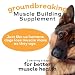 MYOS Canine Muscle Formula - All-Natural Muskelaufbau Supplement - Hilft Muskelverlust bei Hunden durch normales Altern zu reduzieren und verbessert die Erholung nach Verletzungen oder Operationen