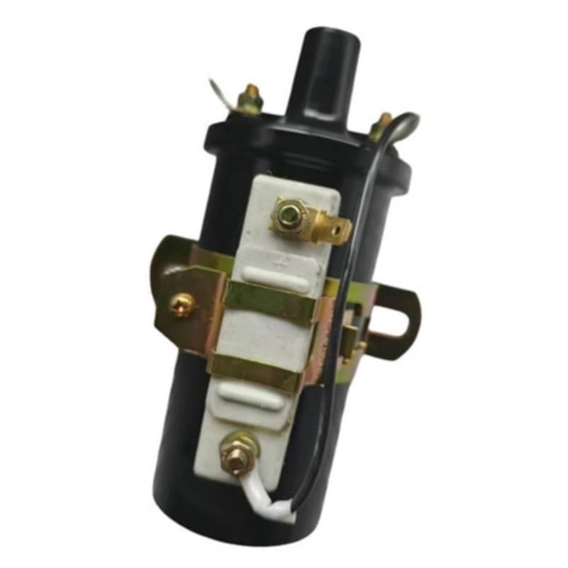 Bobine d'allumage pour bateaux de plaisance V6 V8 en mer ou lac 38547