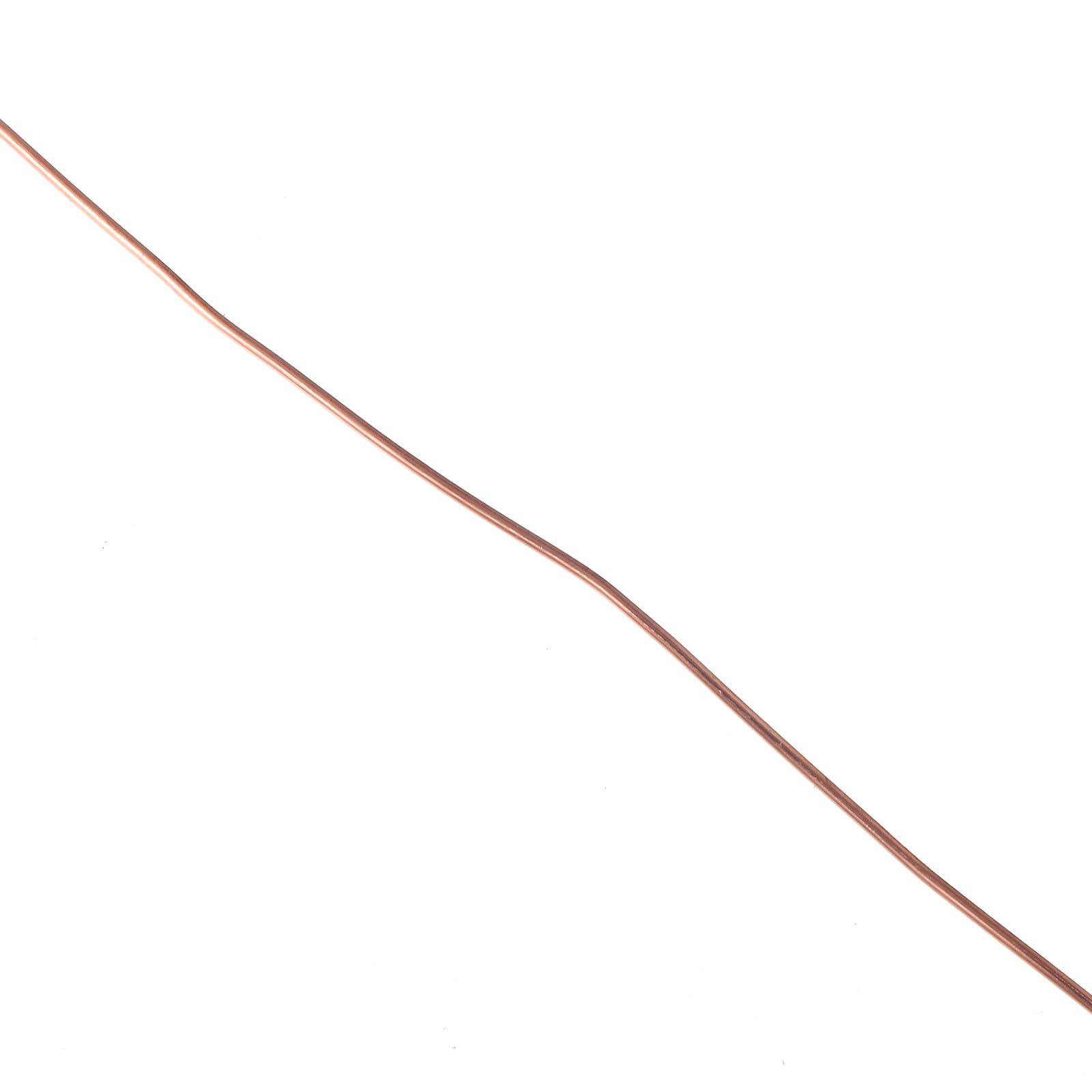 Didiseaon Filo di Rame per Artigianato e Giardinaggio Costruzione Robusta e Forza Eccezionale, 18 Gauge, 40 Metri, per Elettrocoltura e Supporto Piante