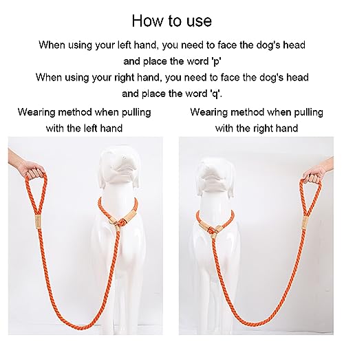 WUUISDNX Comoda corda da addestramento per