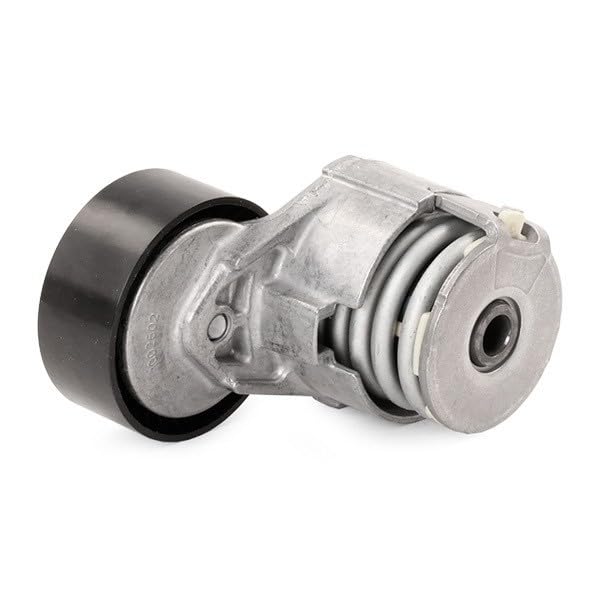 Ina Cuscinetti Tendicinghia 534016410 - Ricambi auto SMC