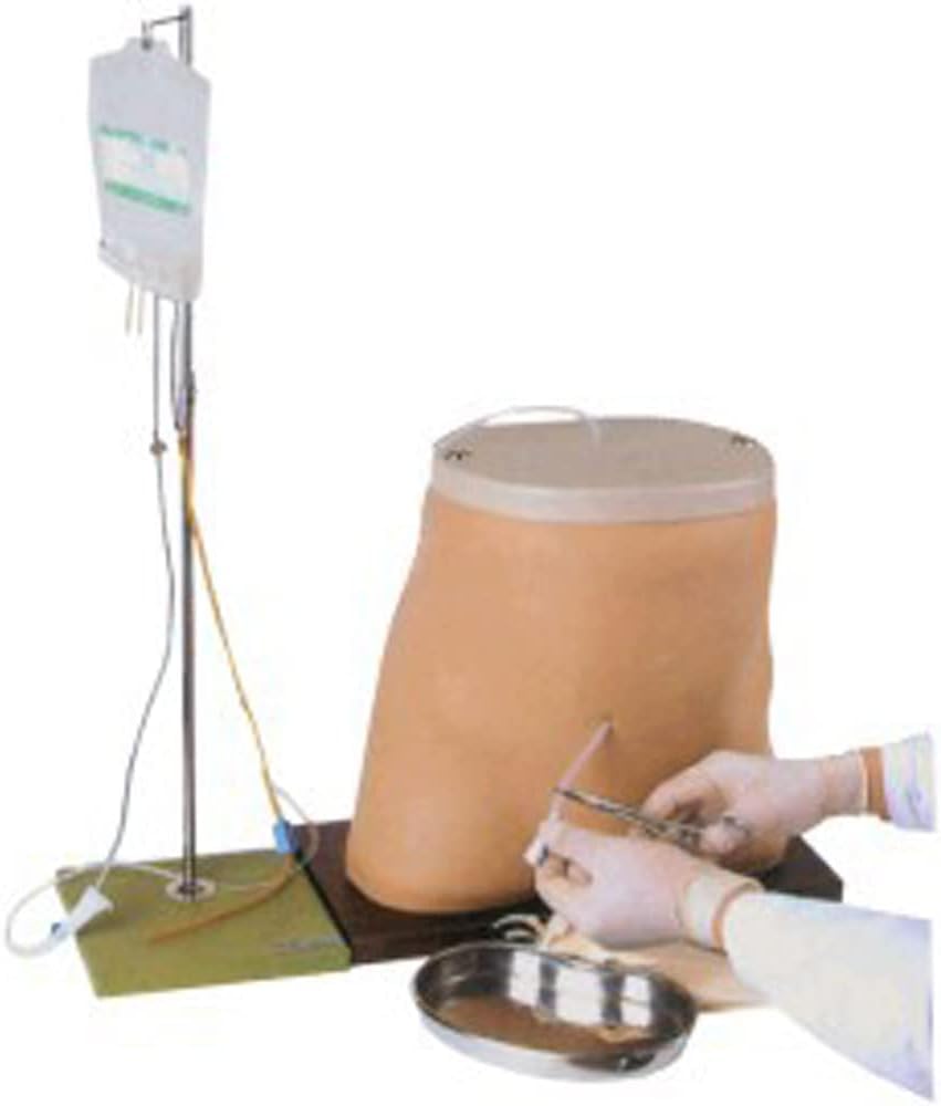 Mannequin d'abdomen humain, modèle de dialyse péritonéale, modèle pédagogique médical, simulateur de dialyse péritonéale, modèle anatomique de mannequin pour la formation aux soins de l'abdomen en édu