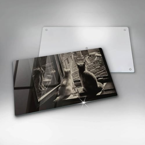 Plaque de protection induction multifonctionnelle verre - 6