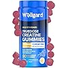 Wellgard Truedose Creatine Gummies - Vegan, 3000mg Creatine Monohydrate, Increases Physical Performance, 90 Gummies