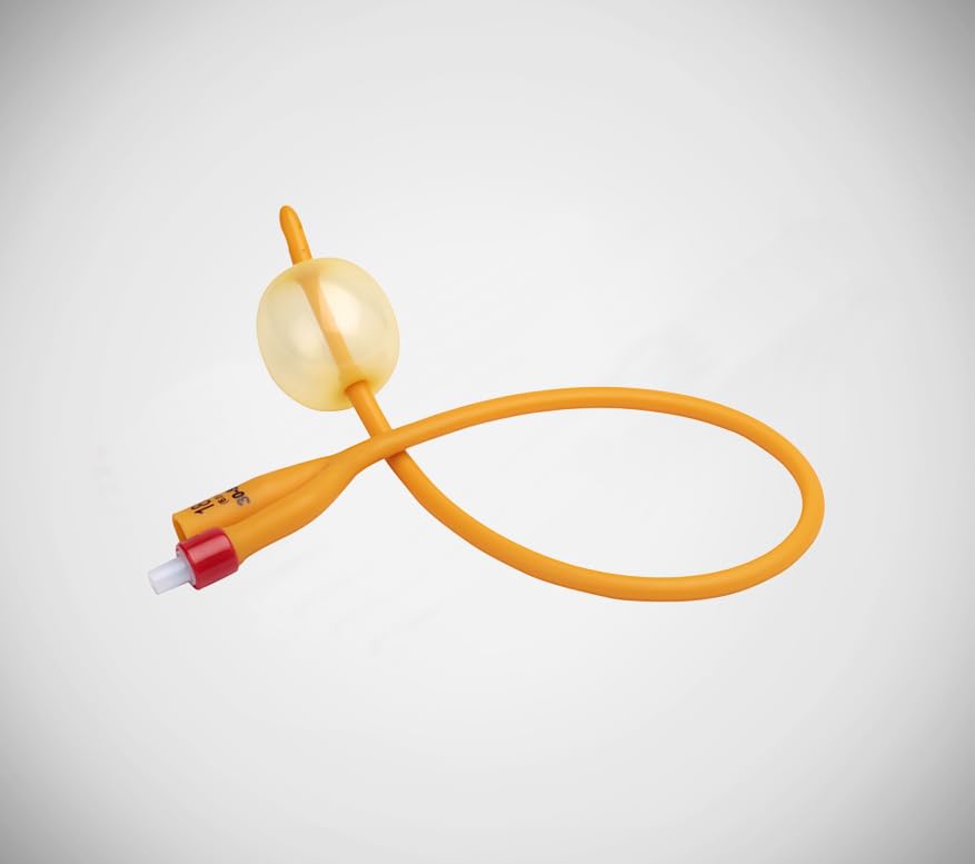 Foley Balloon Catheter (Pack of 10) (12) (B0CJTV8G27) Amazon Price History, Amazon Price Tracker