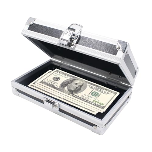 Caisse à Monnaie en Alliage d'aluminium avec poignée de transport et verrouillage de sécurité Portable coffre-fort Mini caisse Cash Box pour Ménage Bureau 18x11x5,8 cm