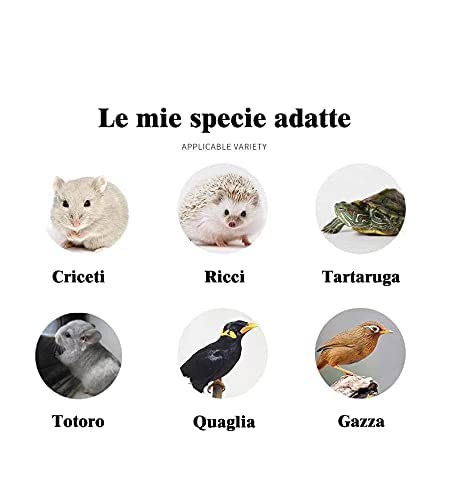 JONSANTYGFRY Cibo per Criceti Ricci, cincillà, lucertole, Rane, Uccelli, Ricci, Snack nutriente, ad Alto Contenuto proteico, Verme del Pane Cotto