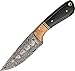 Damascus The Wedge Fixed Blade