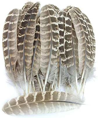 100pcs Natural Pheasant Feathers Natural Turkey Feathers for Crafts DIY Wedding Party Decorations Accessories 4-6inch (Natural)