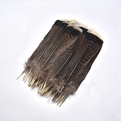Mathenia Crafts, Pieces of High Natural Eagle Feathers 25-30cm/10-12 Inches Featured Excellent DIY Jewelry Headwear Decoration - (Q'ty: 50 Pcs)