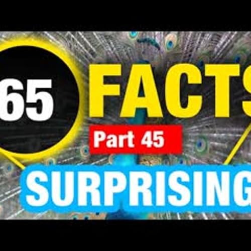 65 Weird Fun Facts Incredible Weird Facts