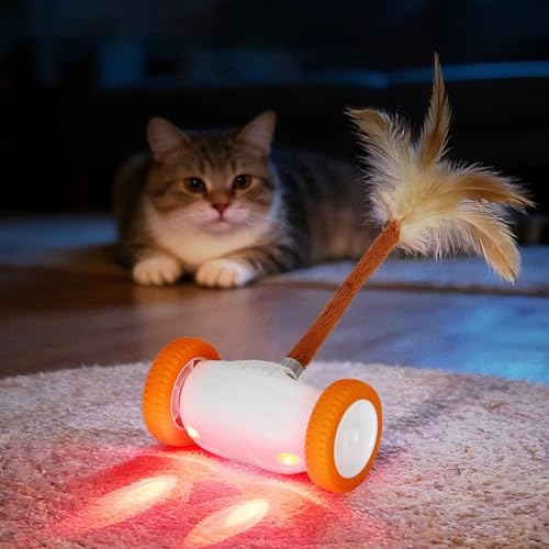 Jouet électronique automatique pour chaton intérieur avec queue et lumières usb - 3