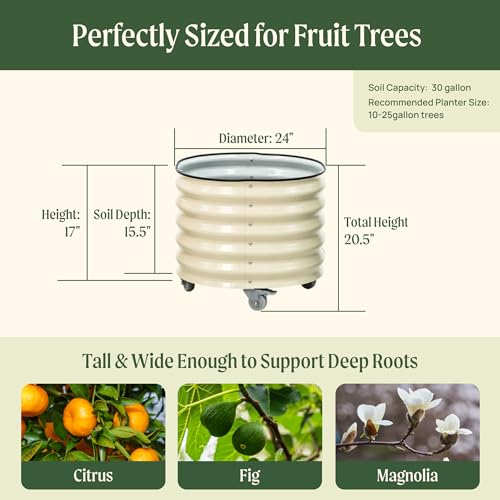 Image of Rolling Metal Citrus Tree Planter Pot, 24″ Round Planter Box for Porch Patio & Backyard, 30 Gallon Large Planter Pot with Wheels for Growing Olive Trees Tomatoes Vegetables and Flowers, Modern Gray