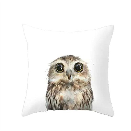 LAZAMYASA Animal Fashion Abstract Pug Dog Cushion Cover Case Pillow Custom Zippered Square Pillowcase 18x18 (one Side),Eagle