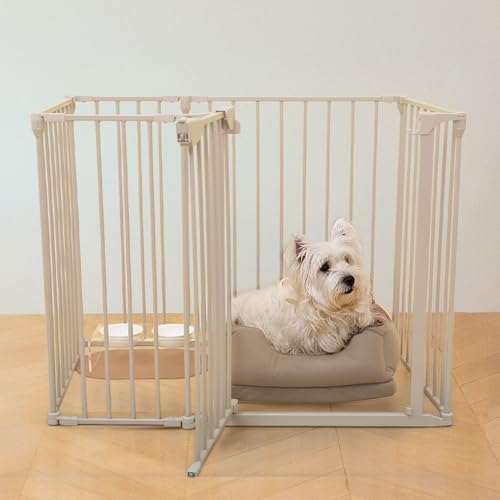 [citydog/VeBhbO] Vv_P[W~j b  Q[W T[N pQ[W hbO tFXP[W ܂肽  cream