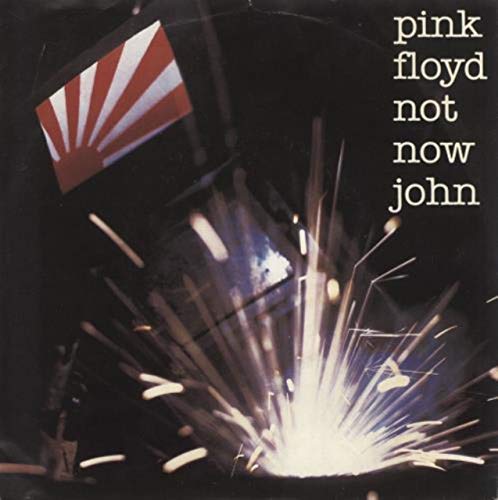 Not Now John 12" Vinyl pressage audiophile pour platine haut de gamme