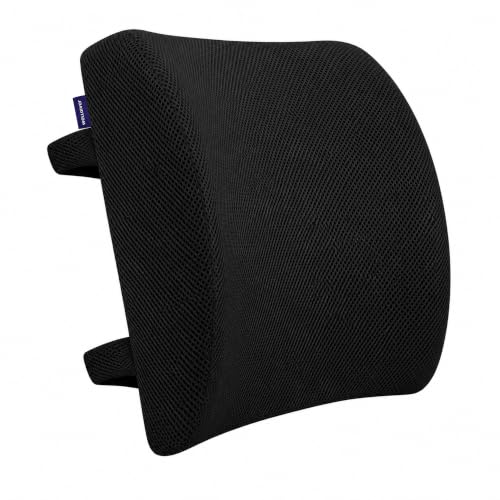 Image of WELLGIVER Lumbar Support | Memory Foam Back Support, Orthopedic Lumbar Support Back Rest for Back Pain Relief - Back Pillow for Sitting | Standard | Black Mesh