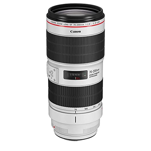 Ficha técnica Canon EF 85mm F1.4L IS USM Teleobjetivo para cámara Longitud Focal 85 cm f1.4 estabilizador de Imagen de 4 Pasos Enfoque automático Negro - Fernando Cortés