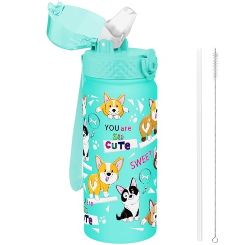 GOPPUS 550ml/18oz Kids Insulated Water Bottle with Straw Cute Double Wall Stainless Steel Child's Small Flask Vacuum Insulated Steel Metal Leak Proof Drink Flask Boys Toddler Girls Flask BPA-Free