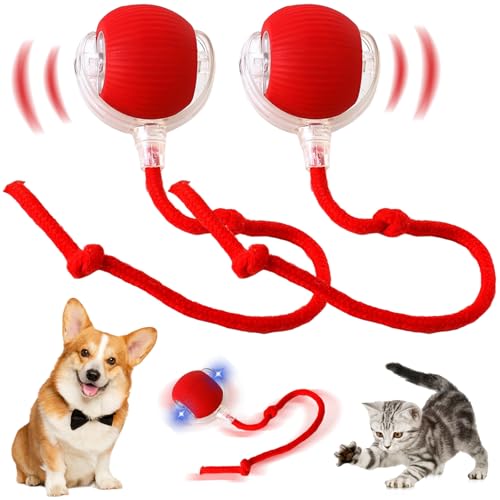 Axinyijia 2 Piezas Balle Interactive Chien, Balle Magique pour Ch...