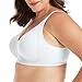 Playtex Women's 18 Hour Seamless Smoothing Full Coverage Bra US4049 with 2-Pack Option
