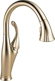 Delta Faucet Addison Gold Kitchen Faucet, Kitchen Faucets with Pull Down Sprayer, Kitchen Sink...
