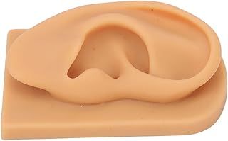 Modelo de orelha direita de silicone macio, modelo de orelha para educação científica resistente para exibição