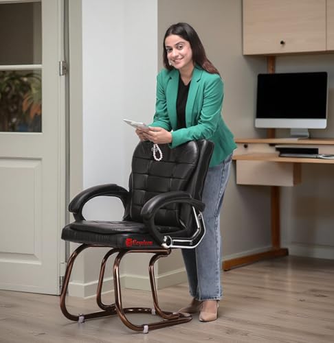 Image of GOYALSON Deluxe Cushioned Office Home Study Chair with Chrome Durable Frame and Cushioned seat Back (2, Black, Copper Coated Double Pipe Frame)