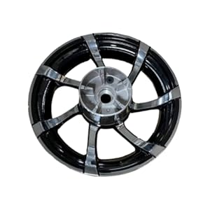 41zg9cptbcl. sl500 . ss300