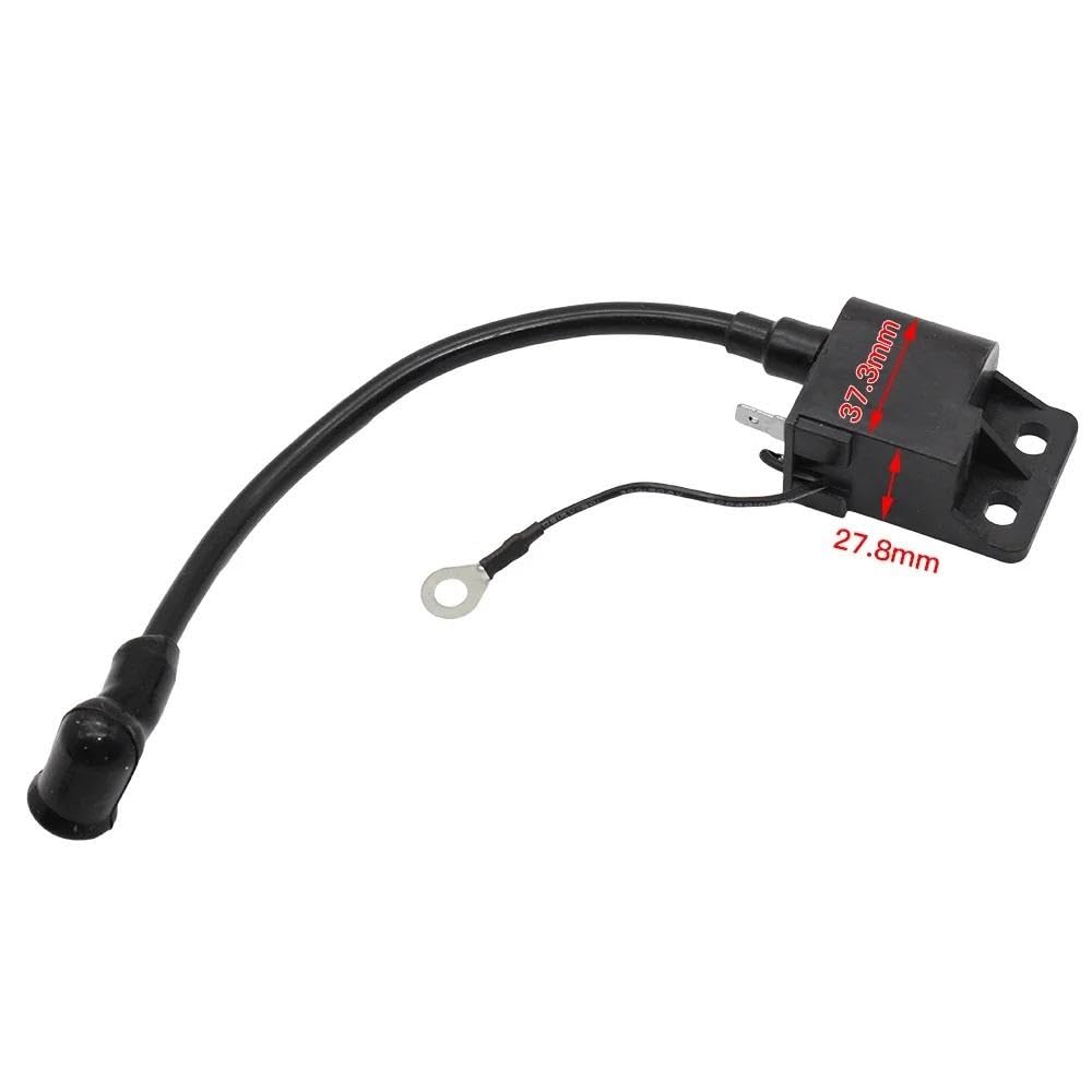 Magnete Accensione Rotore Interno Compatibile Con SX 50 Moped