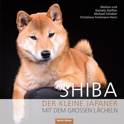 Shiba: Der kleine Japaner mit dem großen Lächeln