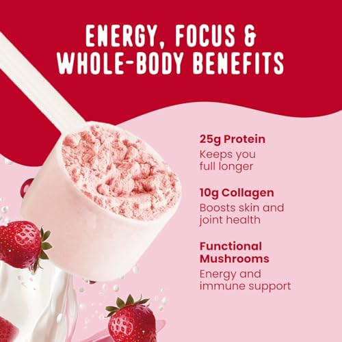 Image of FlavCity All in One Protein Shake Powder, Berries and Cream - On the Go Meal Alternative + Collagen Peptides, Reishi & Cordyceps - Focus, Skin, Hair & Joint Support - 100% Grass Fed Whey, 20 Servings