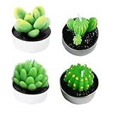 Bougies cactus : fabriquées en , ces bougies sont et .