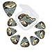Fishing print Guitar Picks 12 Pack Personalized Guitar Picks with Storage Box Guitar Accessories for Ukulele Electric Acoustic Guitars Bass