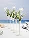 Darice, David Tutera, 3 Piece, Gold Candlestick Holders